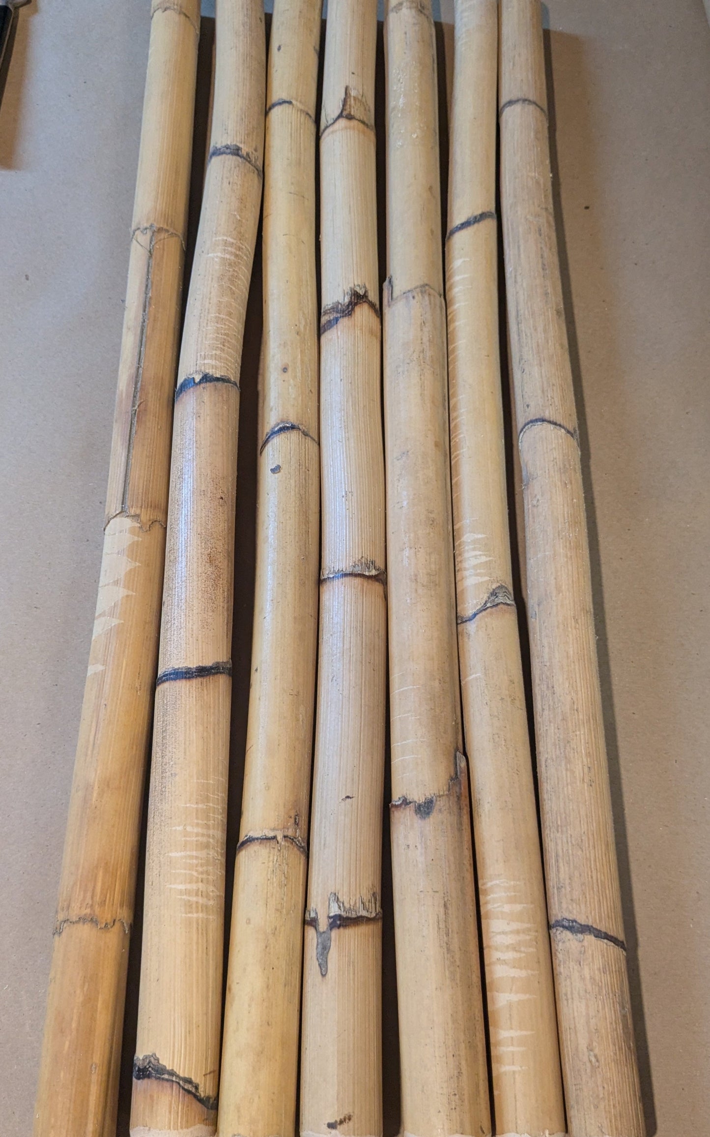 Bucket Sticks - Set of 10